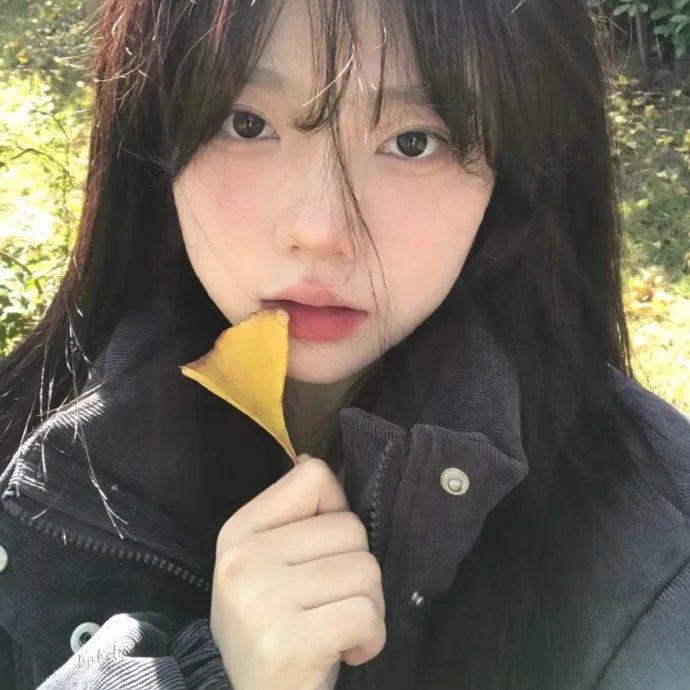 探查医秘